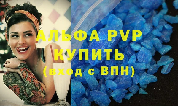 шишки Аркадак