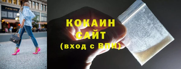 шишки Аркадак
