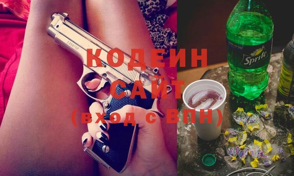 шишки Аркадак