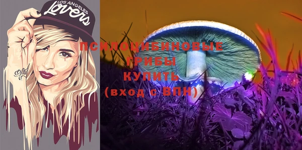 скорость Арсеньев