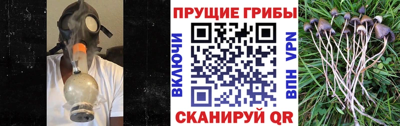 Псилоцибиновые грибы мухоморы  Купить  Магадан 